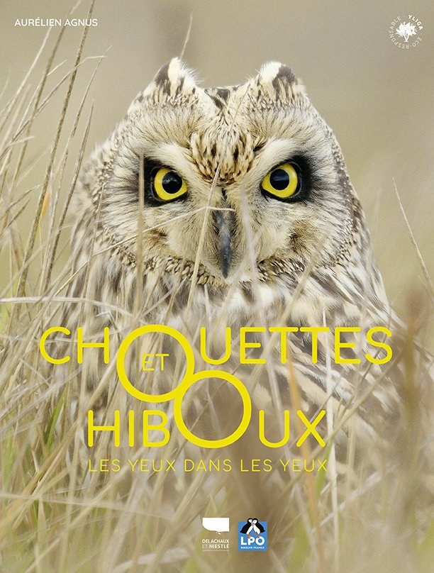 Chouettes & Hiboux — Aurélien Agnus — Les yeux dans les yeux. Couverture éditée par Delachaux et Niestlé / LPO, photogravure 20 Fois l'Ours.